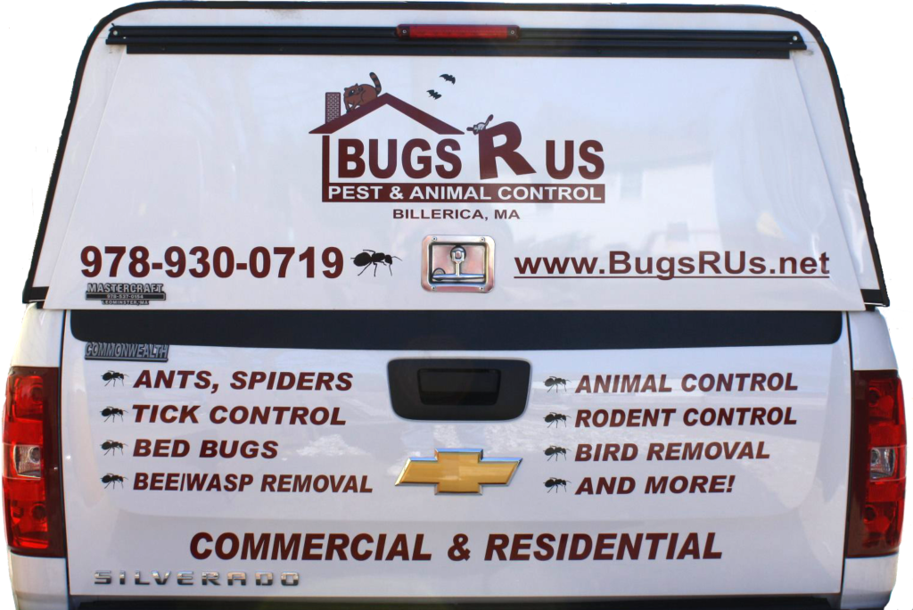 Bugs-R-Us_Logo_2C
